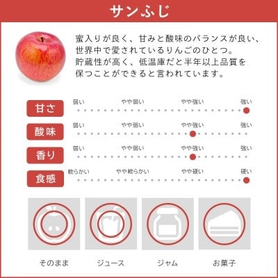 庚申山荘ファーム りんご ちょっと贅沢な家庭用 サンふじ 10kg(22～40個)