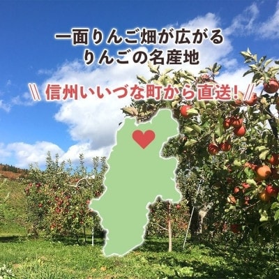 庚申山荘ファーム りんご ちょっと贅沢な家庭用 サンふじ 10kg(22～40個)