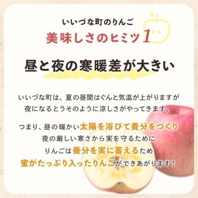 庚申山荘ファーム りんご ちょっと贅沢な家庭用 サンふじ 5kg(11～22個)