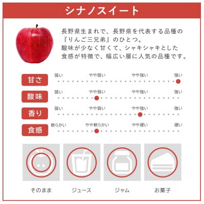 シナノスイート りんご 家庭用 10kg 村松農園