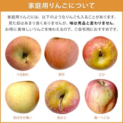 サンふじ りんご 家庭用 3kg 村松農園