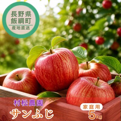 サンふじ りんご 家庭用 5kg 村松農園