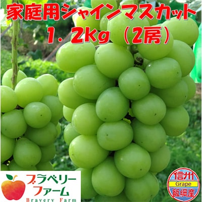 シャインマスカット　1.2kg　長野県飯綱産