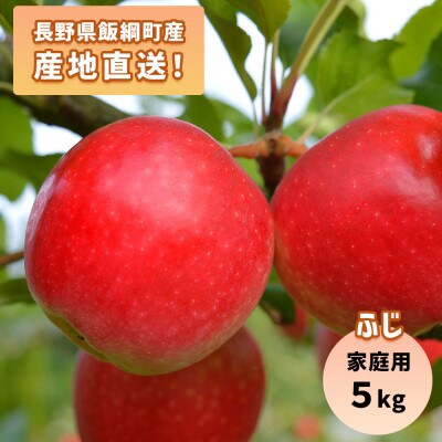 りんご ふじ 5kg 家庭用