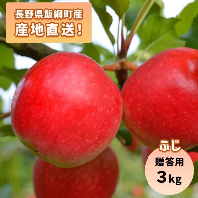 りんご ふじ 3kg 贈答用