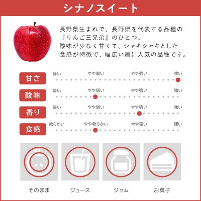 りんご シナノスイート 10kg 贈答用