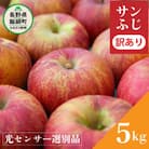 2025年12月以降出荷 訳あり りんご サンふじ 5kg 光センサ 糖度12度以上 12～25玉