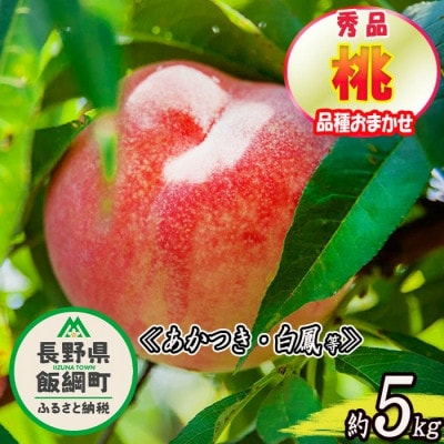 桃 約5kg 秀品　品種おまかせ ( 白鳳 ・ あかつき ・ なつっこ )長野県 飯綱町