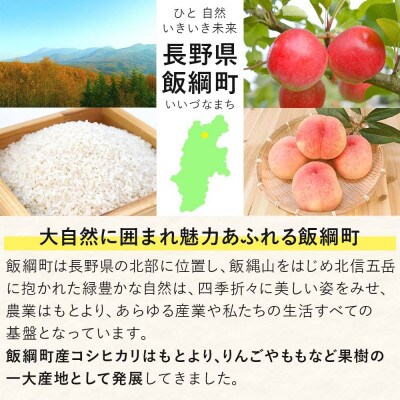 桃 約5kg 秀品　品種おまかせ ( 白鳳 ・ あかつき ・ なつっこ )長野県 飯綱町