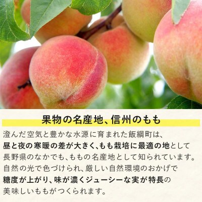 桃 約5kg 秀品　品種おまかせ ( 白鳳 ・ あかつき ・ なつっこ )長野県 飯綱町