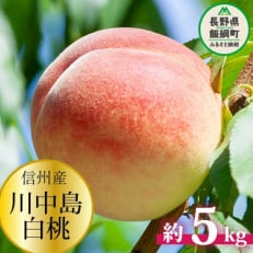 桃 約5kg 川中島白桃 秀品 長野県 飯綱町 先行受付 光センサー糖度保証