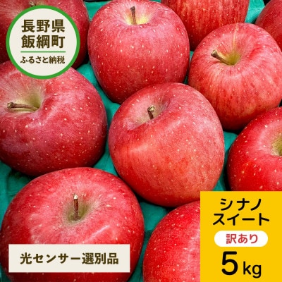 【10月中旬より発送予定】訳あり シナノスイート 5kg 光センサー選果 12～20玉