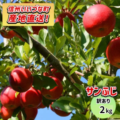 【12月上旬より順次発送】訳あり サンふじ 2kg(5～6玉) 光センサー選果 糖度12度以上