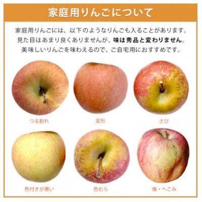 【12月上旬より順次発送】訳あり サンふじ 2kg(5～6玉) 光センサー選果 糖度12度以上