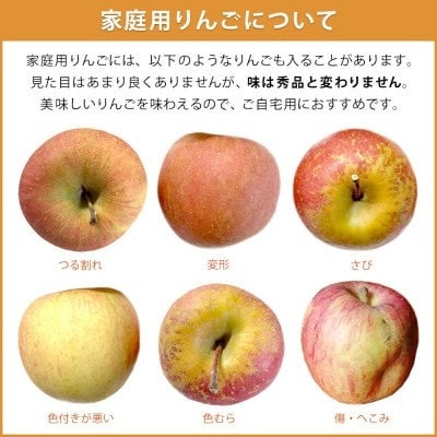 【10月中旬より順次発送】りんご 訳あり シナノスイート 2kg 光センサー選果