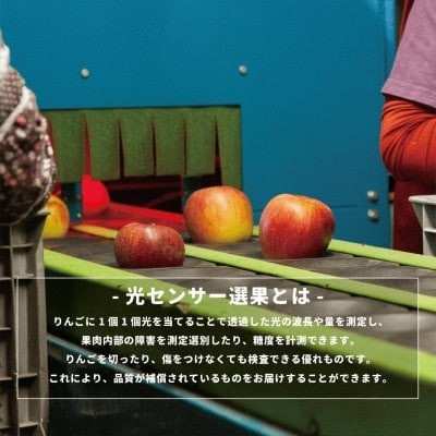 【10月中旬より順次発送】りんご 訳あり シナノスイート 2kg 光センサー選果