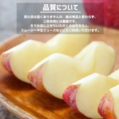【10月中旬より順次発送】りんご 訳あり シナノスイート 2kg 光センサー選果