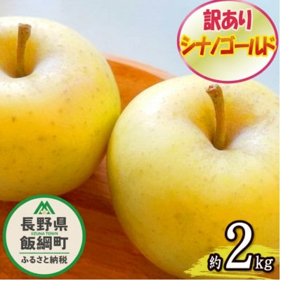 2026年11月以降出荷 訳あり りんご シナノゴールド 約2kg 光センサー選果