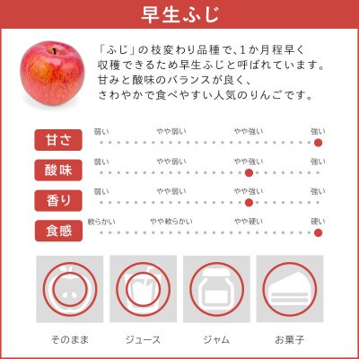 りんご 早生ふじ 5kg 家庭用
