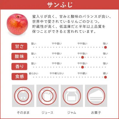 りんご ふじ 5kg  贈答用