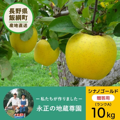 りんご シナノゴールド 10kg ランクA 28玉以上 贈答用