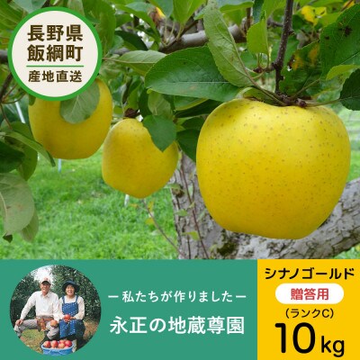 りんご シナノゴールド 10kg ランクC 36玉 贈答用