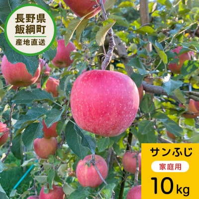 りんご サンふじ 10kg 家庭用
