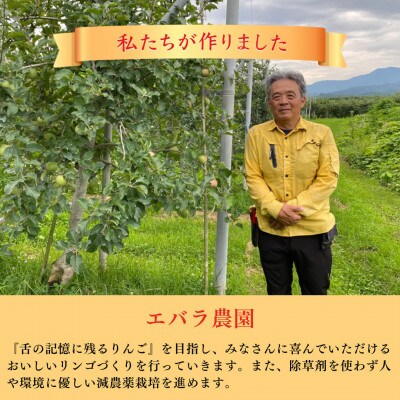 りんご「サンふじ」 秀品 10kg