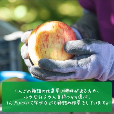 【令和5年度収穫分】農家応援企画 サンふじ 家庭用 ～ 訳あり 3kg 沖縄および離島への配送不可