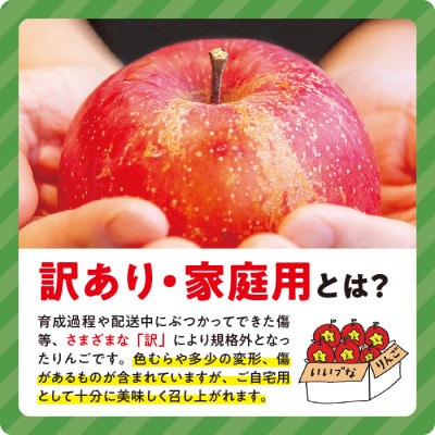 【令和5年度収穫分】農家応援企画 サンふじ 家庭用 ～ 訳あり 3kg 沖縄および離島への配送不可