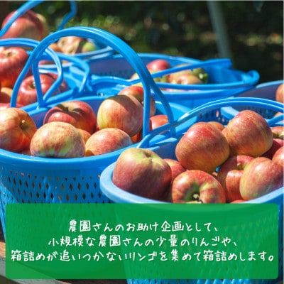 【令和5年度収穫分】 農家応援企画 サンふじ 家庭用 ～ 訳あり 2kg 沖縄県への配送不可