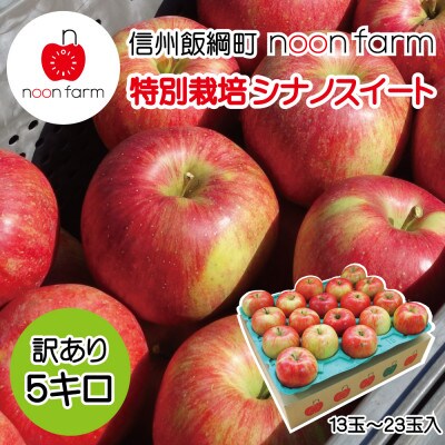 【2024年10月下旬から順次発送】　信州飯綱町の『特別栽培シナノスイート』【訳あり】5kg
