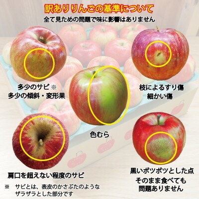 【2024年10月下旬から順次発送】　信州飯綱町の『特別栽培シナノスイート』【訳あり】5kg