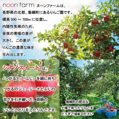 【2024年10月下旬から順次発送】　信州飯綱町の『特別栽培シナノスイート』【訳あり】5kg