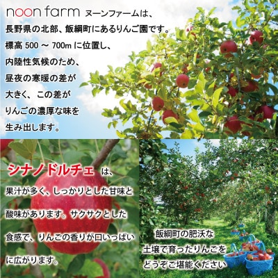 【2026年9月中旬から順次発送】　信州飯綱町の『特別栽培シナノドルチェ』【訳あり】3kg