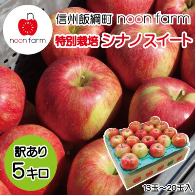 【2026年10月中旬から順次発送】信州飯綱町の『特別栽培シナノスイート』【訳あり】5kg