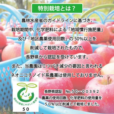 【2026年10月中旬から順次発送】信州飯綱町の『特別栽培シナノスイート』【訳あり】5kg