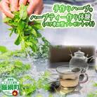 【ふるさと納税】《自然に学ぶ》ハーブ体験(ペア)実施期間:6月中旬～10月末 長野県 飯綱町