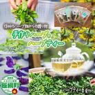 ハーブティー 6袋  長野県 飯綱町