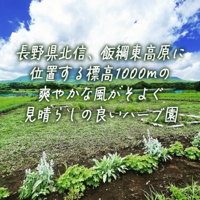 ハーブティー 6袋  長野県 飯綱町