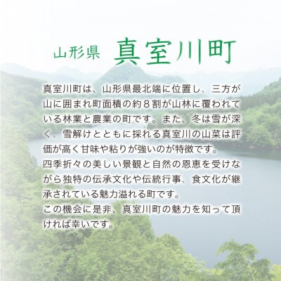 令和6年産 真室川町厳選 はえぬき [白米] 10kg(5kg×2袋)