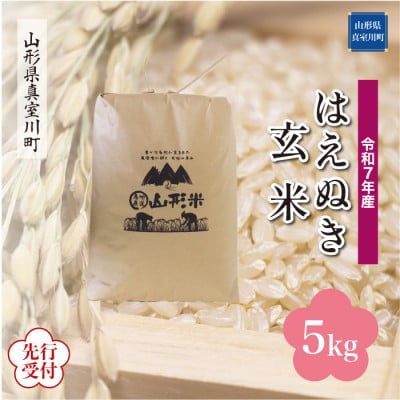 ＜令和7年産米先行受付＞ 真室川町産 はえぬき【玄米】5kg(5kg×1袋)10月下旬より順次発送