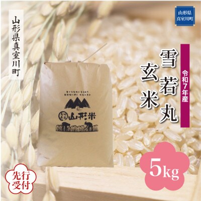 <令和7年産米先行受付> 真室川町産 雪若丸【玄米】5kg(5kg×1袋)11月下旬より順次発送