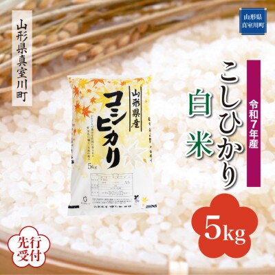 <令和7年産米先行受付>真室川町産 コシヒカリ【白米】5kg(5kg×1袋)11月下旬より順次発送