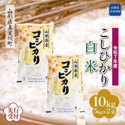 <令和7年産米先行受付> 真室川町産コシヒカリ【白米】10kg(5kg×2袋)11月下旬より順次発送