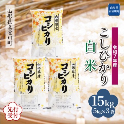 <令和7年産米先行受付> 真室川町産コシヒカリ【白米】15kg(5kg×3袋)11月下旬より順次発送