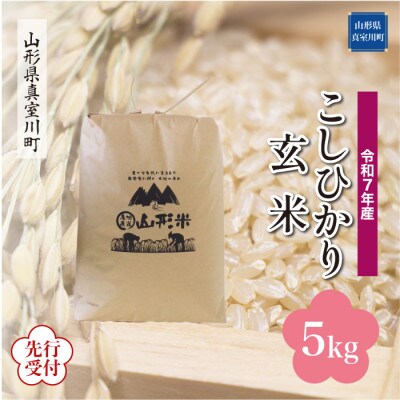 <令和7年産米先行受付> 真室川町産 コシヒカリ【玄米】5kg(5kg×1袋)11月下旬より順次発送