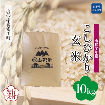 <令和7年産米先行受付>真室川町産コシヒカリ【玄米】10kg(10kg×1袋)11月下旬より順次発送
