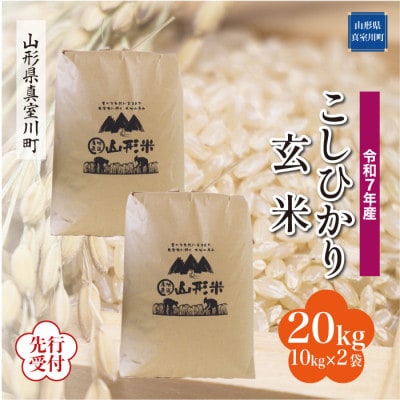 <令和7年産米先行受付>真室川町産コシヒカリ【玄米】20kg(10kg×2袋)11月下旬より順次発送
