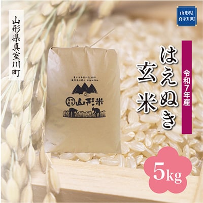 【令和7年産米】 はえぬき【玄米】5kg(5kg×1袋)◆RR7H05M-G